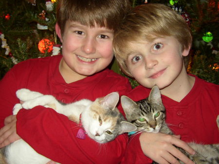 Boys and Cats at Christmas 2007