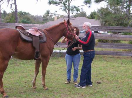 Sammy - The Rescue Horse