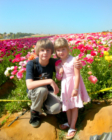 flower fields in March 08