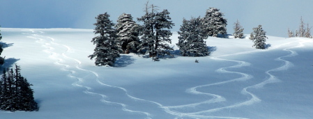 Noodles at Powder Mountain.