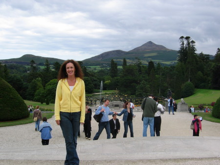 Ireland, 2006