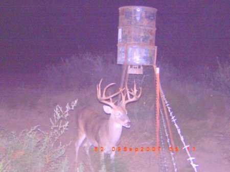 he poses for the camra but not for the harvest