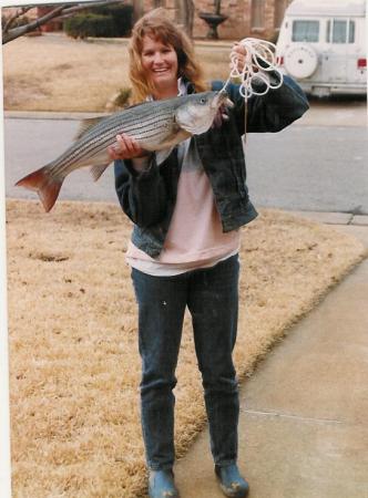 red striper at lake Texoma