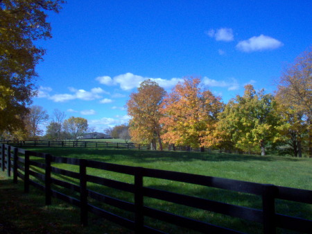 The Wrigley Estate - Green Gables