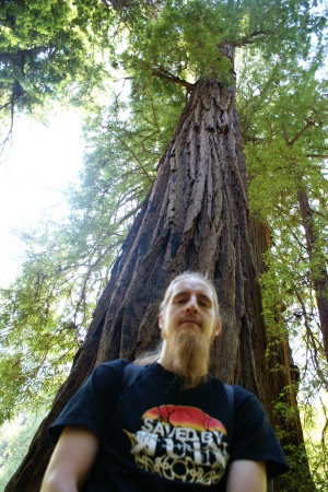 At the Redwoods in CA