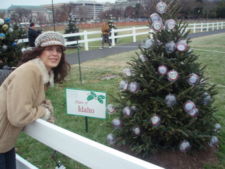 Idaho tree 12.22.07