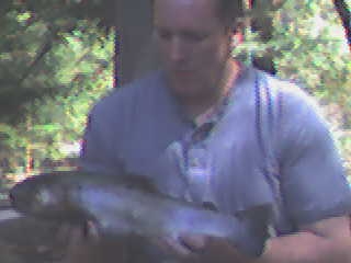 NC trout