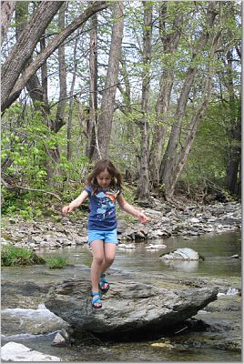 Mar in the Creek