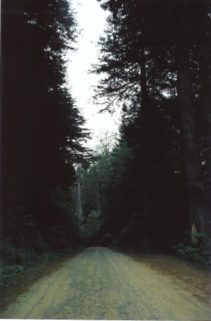 Logging Road by Canyon Dorms, 1972