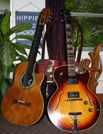 a couple of my guitars