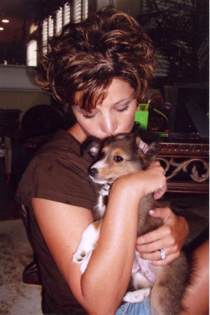 little sheltie puppy  "laredo"  6/2006