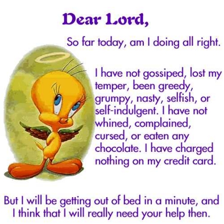 Praying Tweety