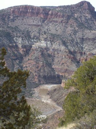 South of Show Low, Az