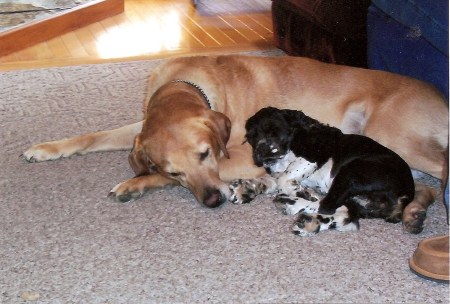 Luke and Sadie