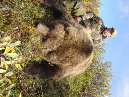 alaska bear hunting trip 082