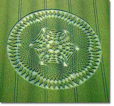 Crop Circle