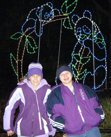 Zoo lights 2007