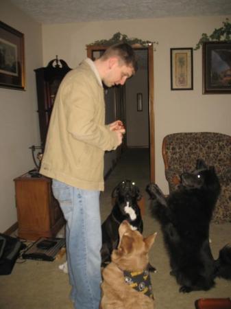 Jeremy and the Pooches