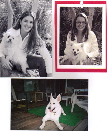 Jen Laura and some of our Dogs