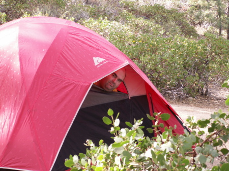 waddya mean this is not my tent?