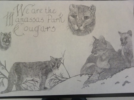 Took Art in College "The Cougars" VA