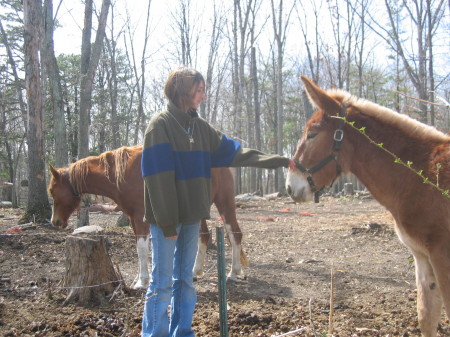 Victoria and the horses