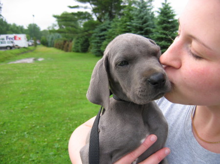 The first kiss!