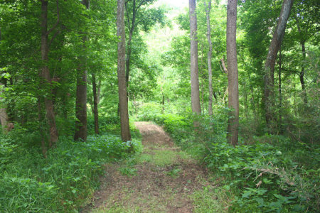 David Smith's album, Missouri Ozark Cabin