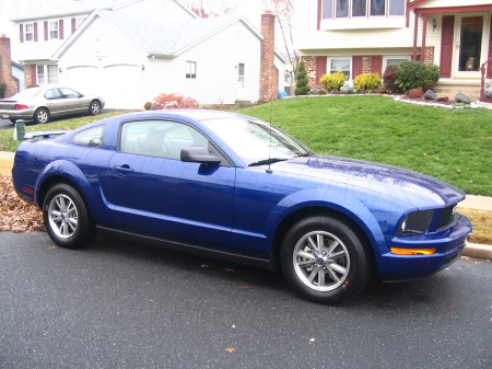 2005 Mustang