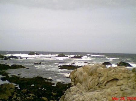 Monterey Bay 2008