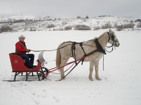 Me on Sleigh with Lucky