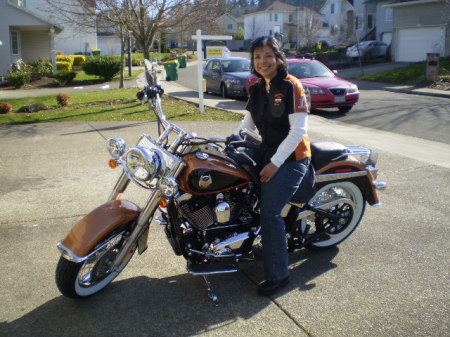My first Harley Davidson Motorcycle