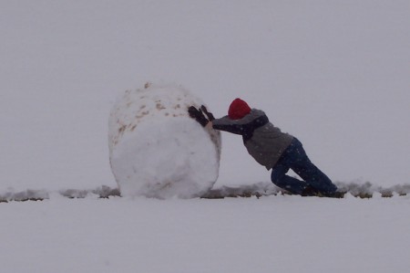 ONE BIG SNOWBALL!!!