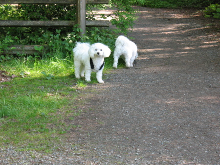 Day in the park