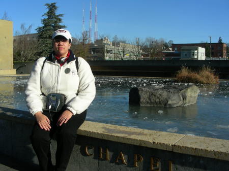 Winter by the Reflecting Pool