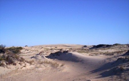 The Dunes at Jockey's Ridge