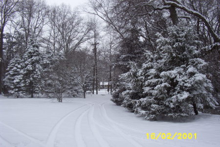 My driveway