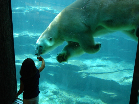 Memphis Zoo