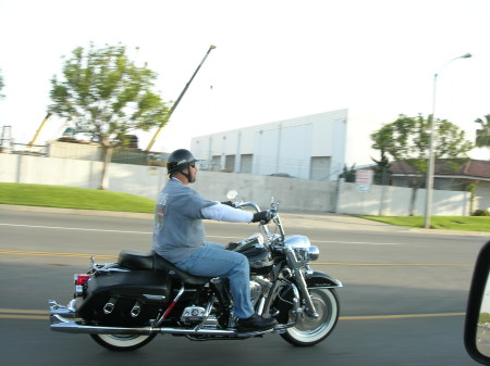 Pig on a Hog!