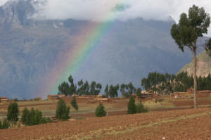 Juicy Rainbow, Peru