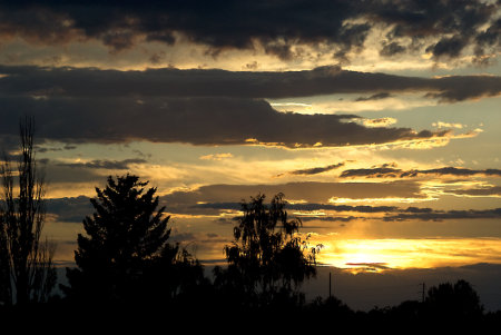 Robert Decamp's album, Around the area