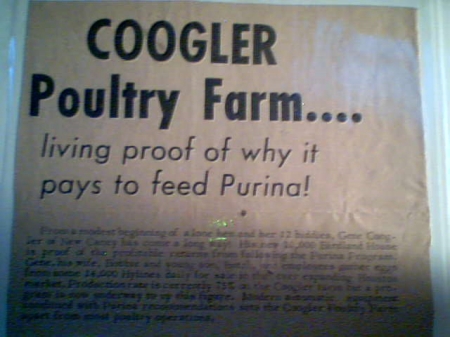 coogler egg farm