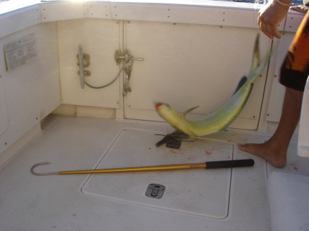 Sport Fishing in Hawaii 2007