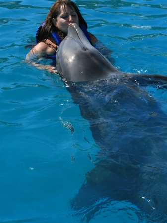 Dolphin Kissing!