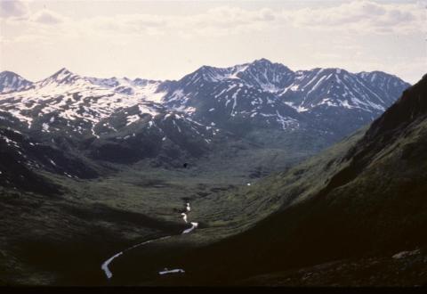 1987 Alaska Trip Pics II