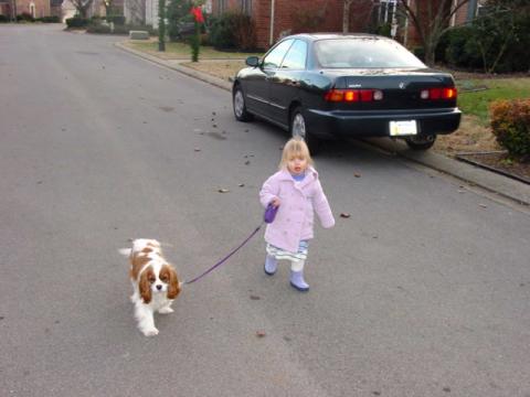 Bailee walking scooter