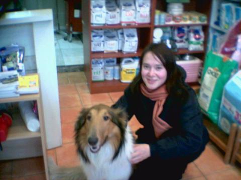 me and my collie
