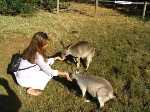 Australia 2005 - Lone Pine Koala Sanctuary Sherry feeding two Kangas 1 4-5-05