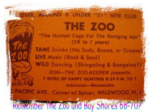 Zoo card,shingaling,boogaloo, Bay shores