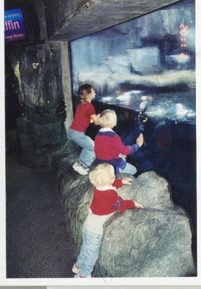 Frankie, Teddy and Joe viewing sharks